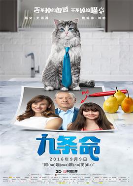 小鸭图的形象