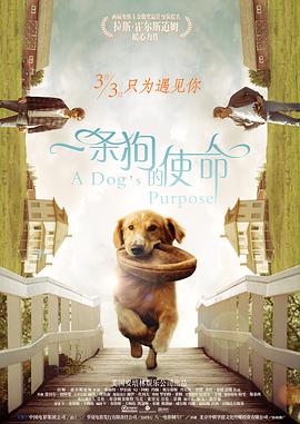 爸爸的情人